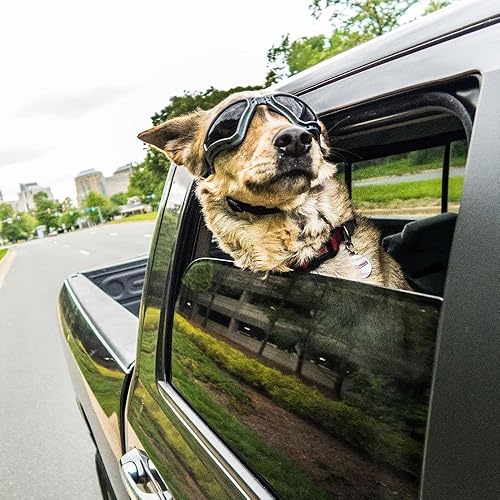 best dog goggles for motorcycle