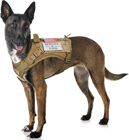 military working dog vest