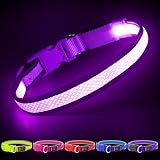 YFbrite Illuminated LED Dog Collar Purple Medium USB Rechargeable Safety Light