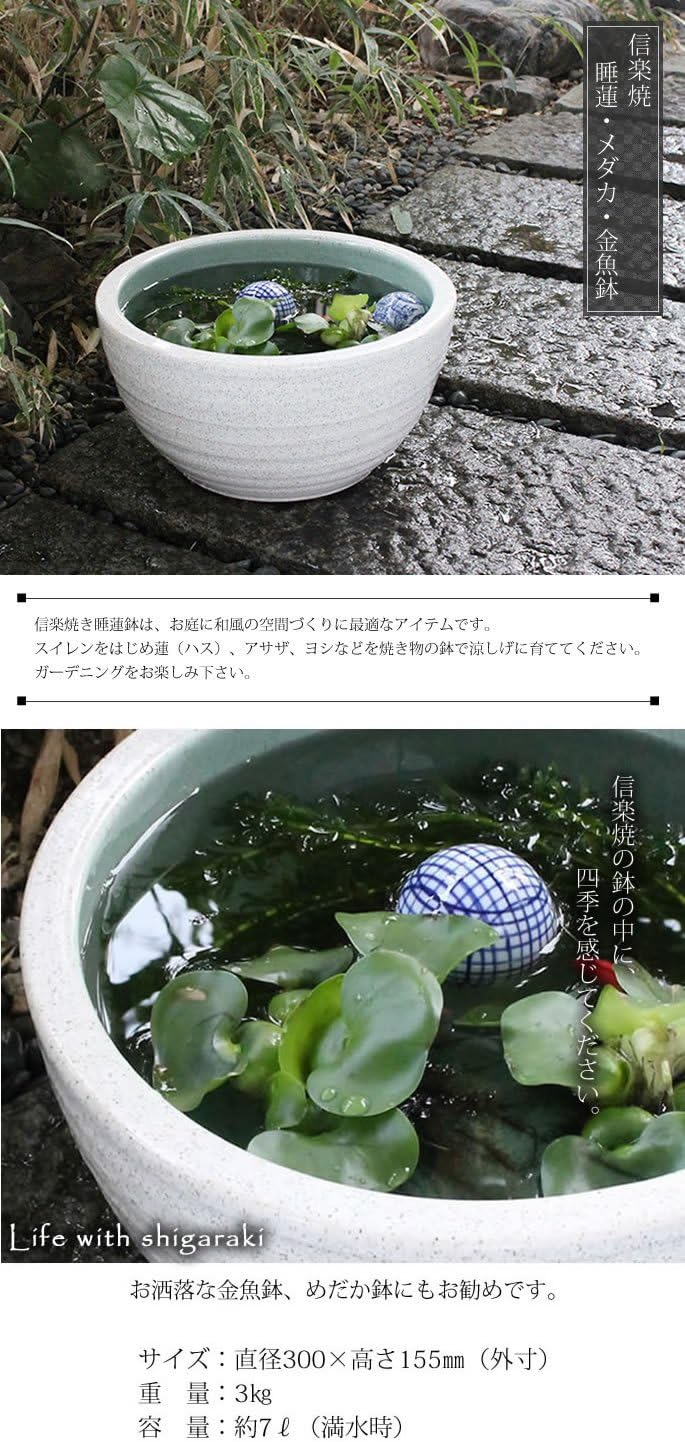 Amazon 信楽焼 10号白カスミ すいれん鉢 メダカ鉢 睡蓮鉢 スイレン鉢 金魚鉢 水鉢 陶器 Su 0138 白カスミ色 鉢