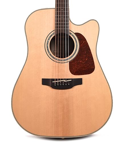 Takamine クラシックギター TAKAMINE タカミネ/楽器｜WonderREX-ONLINE 公式通販サイト