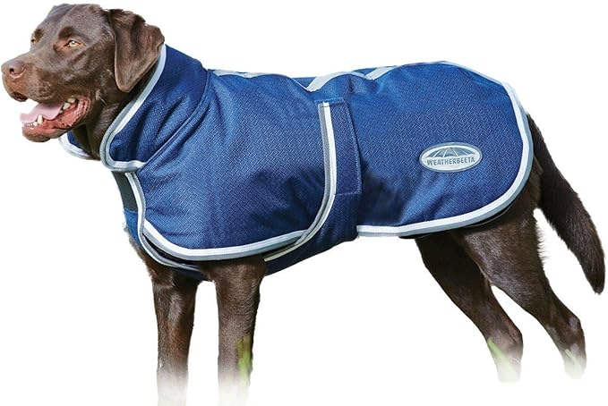 dog coats petbarn