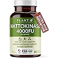 PLANT.O NUTRITION Nattokinase Supplement with Max Enzyme Support - 4,000 FU Per Serving - Premium Nattokinase Formula for Heart Health Support - 60 Capsules - Made in USA