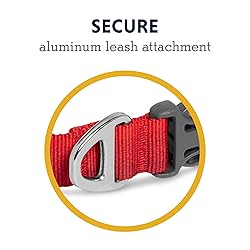 Ruffwear, Front Range Dog Collar, Durable and