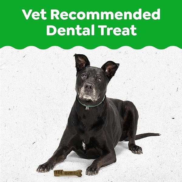 GREENIES DENTAL TREATS FOR DOGS, VETERINARIAN-RECOMMENDED AGING CARE ADULT NATURAL DENTAL DOG TREATS, TEENIE SIZE, 27 OZ. PACK, 96 COUNT