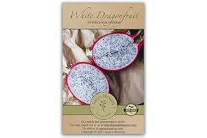 Gaea's Blessing - Dragonfruit Seeds (White) - Pitaya - Heirloom Non-GMO Seeds with Planting Instructions - Untreated - Open-Pollinated