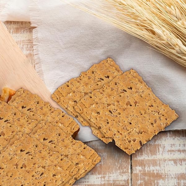 ROVIRA MULTIGRAIN SODA CRACKERS – DELICIOUS BUTTER FLAVOR FOR SNACKS, GARNISH, OR PARTIES – 9 OZ (PACK OF 1)
