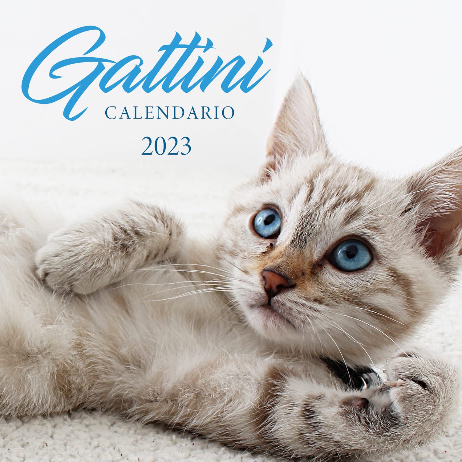 2023 Wall Calendar Kittens Ideal for Office and Home 12 Months 30 x 30 cm + Gift Poster Included