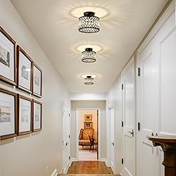Pevfah Crystal Black Ceiling Light, Modern Semi