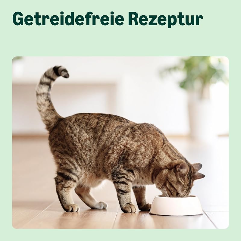 Getreidefreies Rezept für Katzen, Trockenfutter (sterilisiert/leicht) mit frischem Huhn, 3 kg