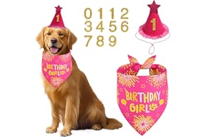 Agroon Dog Birthday Decorations Rose Pink, Dog Birthday Party Supplies with Hat Bandana Numbers for Large Medium Girl Pets Puppy