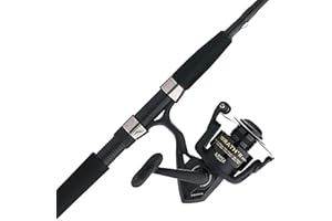 PENN Wrath II Spinning Reel and Fishing Rod Combo