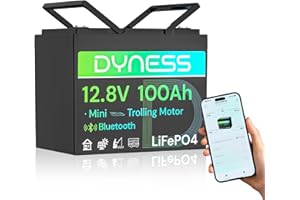 Dyness 12V 100Ah LiFePO4 Lithium Battery with Bluetooth, Group 24,Max.1280Wh Energy, Built-in 100A BMS with Low-Temp Protection, Perfect for Trolling Motor RV,Boat, Solar System
