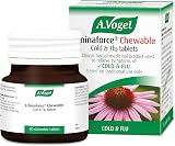 A.Vogel Echinaforce Chewable Tablets 80 for Cold & Flu Echinacea Extracts view 1