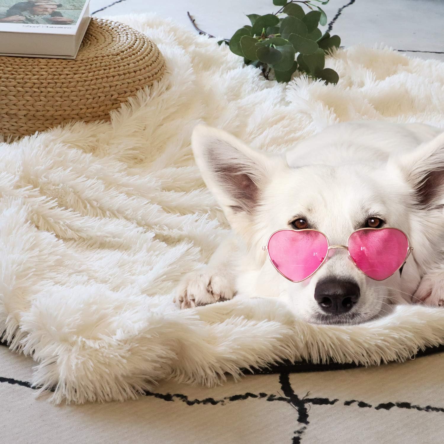 Decorative Extra Soft Faux Fur Blanket Queen Size 78" x 90",Solid Reversible Fuzzy Lightweight Long Hair Shaggy Blanket,Fluffy Cozy Plush Fleece Comfy Microfiber Blanket for Couch Sofa Bed,Cream White: Kitchen & Dining