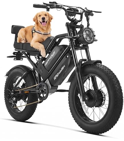 Amazon.com: HAPPYRUN G70 Pro Adult Electric Bike: 5000W Dual Motor