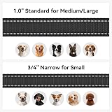Joytale Padded Handle Dog Lead Double-Sided Reflective Nylon 1.2m 2.5cm Black view 6