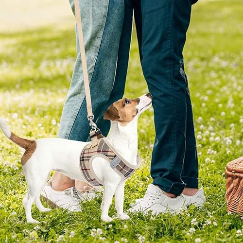 CREATIVE NORTH - No Pull Lightweight Dog Vest Harness, Soft Padded And Comfortable Cushion, No