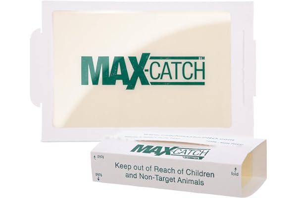 Pest Glue Trap by Catchmaster - 36 Boards Pre-Baited, Ready to Use Indoors. Rodent Mouse Rat Insect Sticky Adhesive Simple Easy Simple Non-Toxic - Made in the USA