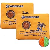 Wisesorb 100gx2pcs Rechargeable Desiccant Packs for Storage, Color Indicating Silica Gel Packets Moisture Absorbers with Visible Window, Reusable Dehumidifier Bags for 3D Filaments Electronics Camera