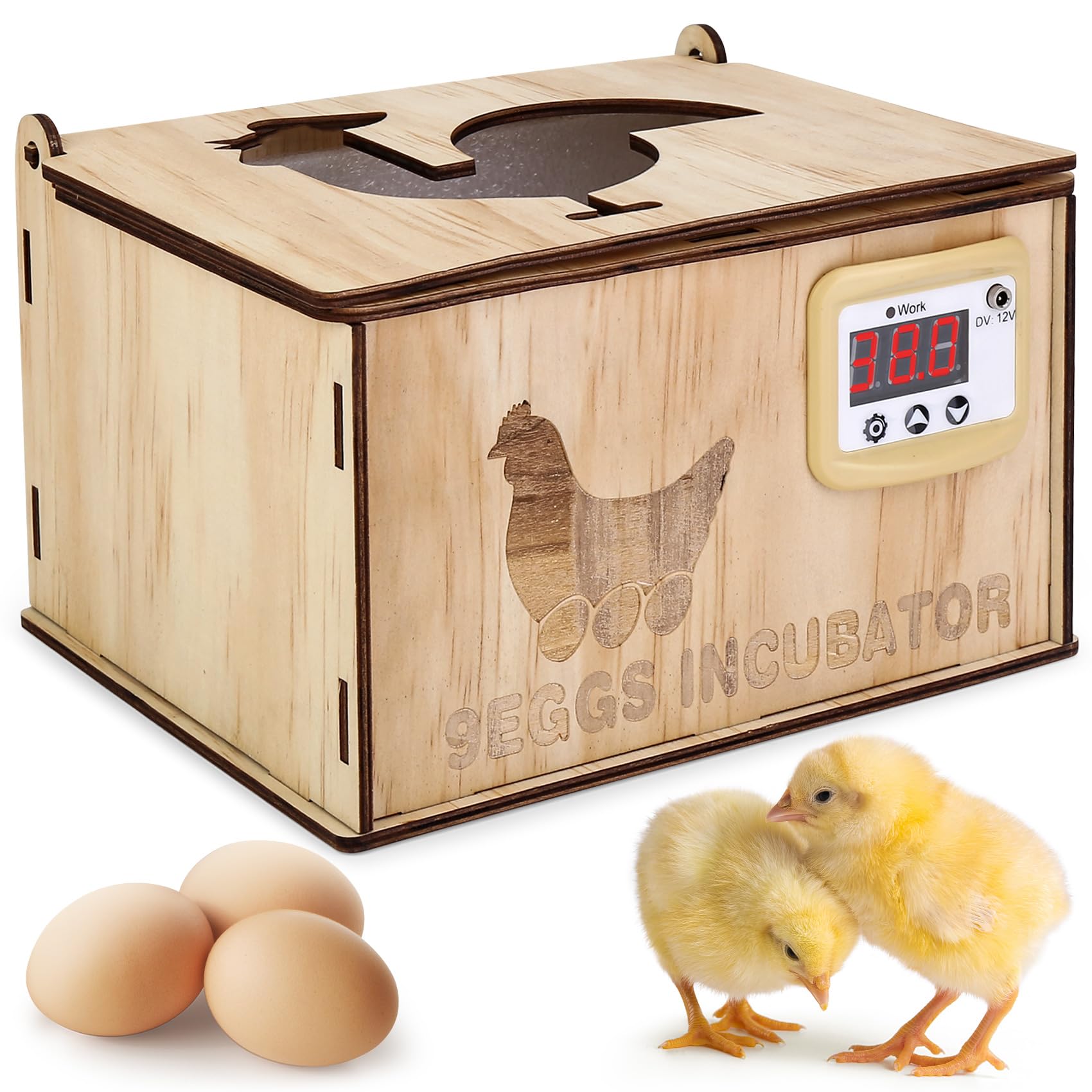 Photo 1 of Ftabernam Incubators for Hatching Eggs, DIY 9 Eggs Incubator with Waterbed Incubation and Adjustable Temperature, Mini Egg Hatcher for Chicken, Duck, Goose, Quail
