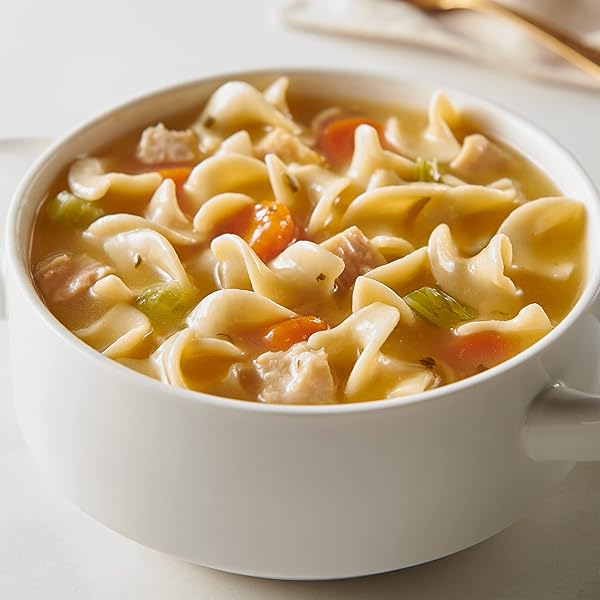 PROGRESSO CHICKEN NOODLE SOUP, 19 OUNCE