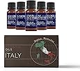 Trade Shop - Set 12 Oli Essenziali Biologici Naturali Al 100% Puri Per