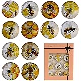 12Pcs Bumble Bees Refrigerator Magnets Crystal Glass Cute Honey Bee Magnet Gifts for Baby Shower Theme Decorations Dry Erase 