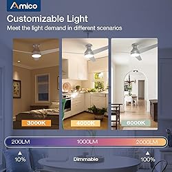 Amico Ceiling Fans with Lights, 52 inch Low Profile