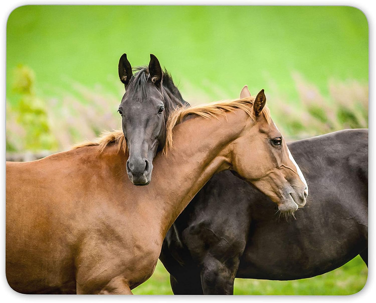 Destination Vinyl Ltd Equestrian Friendship Mouse Mat Pad - Horse Lover Farming Computer #14622, Multicolor