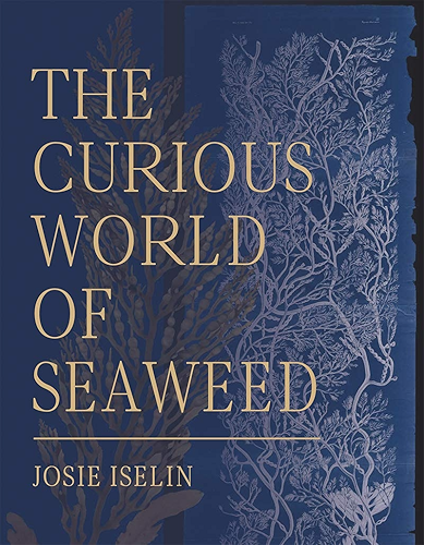 Download The Curious World of Seaweed (English Edition) PDF