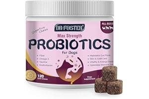 DRFOSTER Probiotics for Dogs, Dog Probiotics for Digestive Health, 6 Billion CFU, with Prebiotics & Digestive Enzymes, Pumpkin & Omega-3, Dog Diarrhea Relief & Immune Support, Skin & Coat Care, 120 Soft Chews