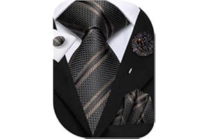 Hi-Tie Ties for Men Tie and Lapel Pin Set Paisley Stripe Necktie Handkerchief Cufflink Wedding Party