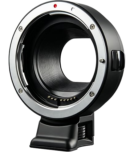 Amazon.com : Canon EF-S 55-250mm F4-5.6 is STM Lens for Canon SLR