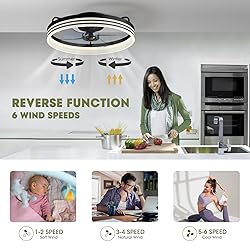 LUDOMIDE Ceiling Fans with Lights, Flush Mount