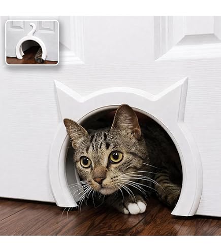 Amazon.com : The Kitty Pass Cat Door for Interior Door - Cat Hole