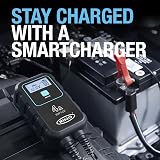 Ring SmartCharge 4A Car Charger Maintainer with Crocodile Clips view 9