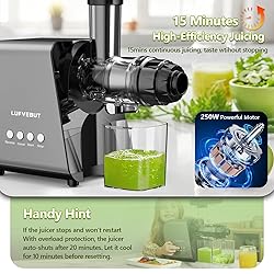Slow Juicer Carrot Ginger, 250W Cold Press Juicer