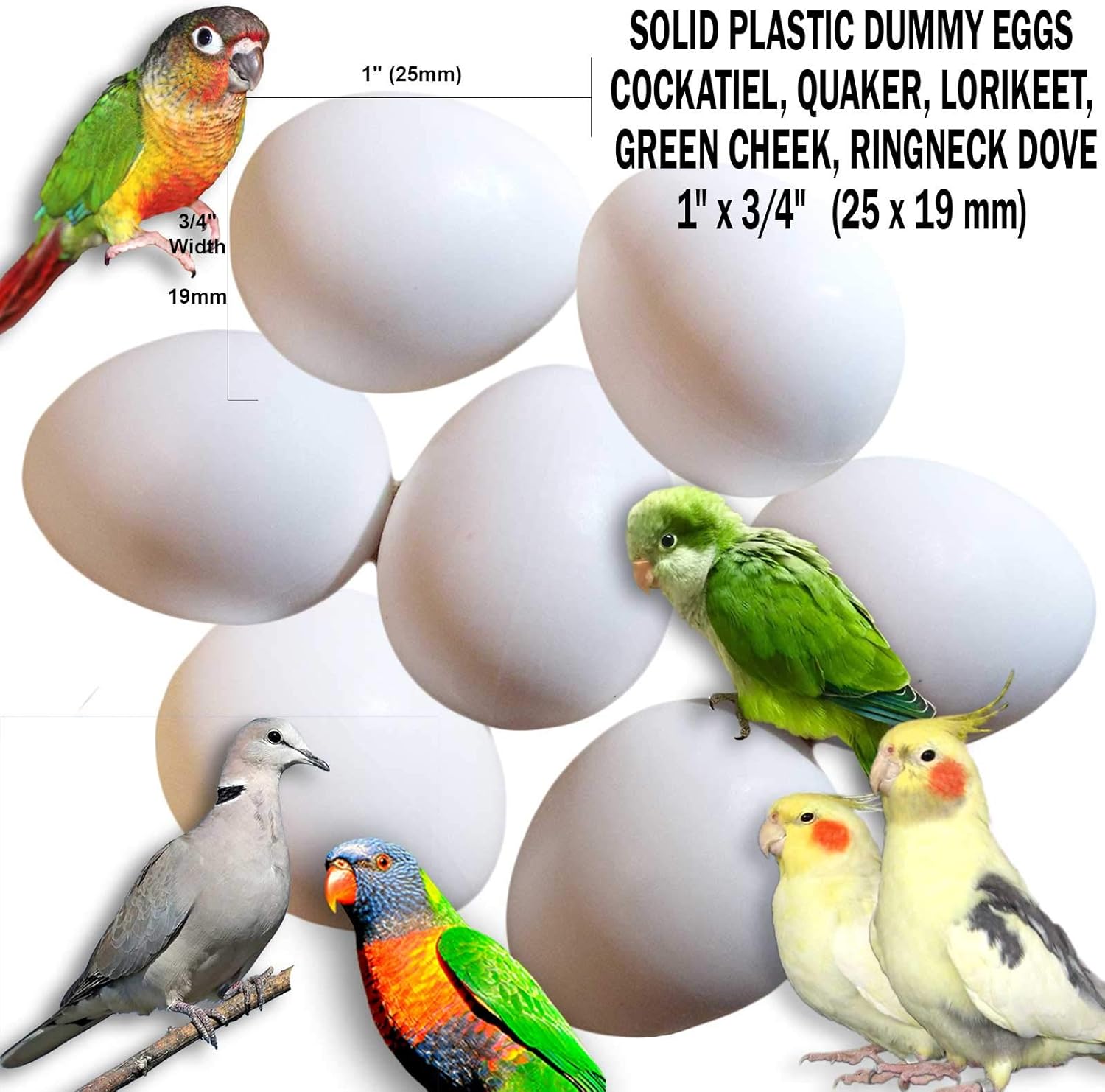 Fake Bird Eggs Stop Laying! Dummy Eggs for Cockatiel, Quaker Parrot