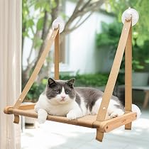 CATISM Perchoir de fenêtre pour chat, hamac pour chat d'intérieur ...