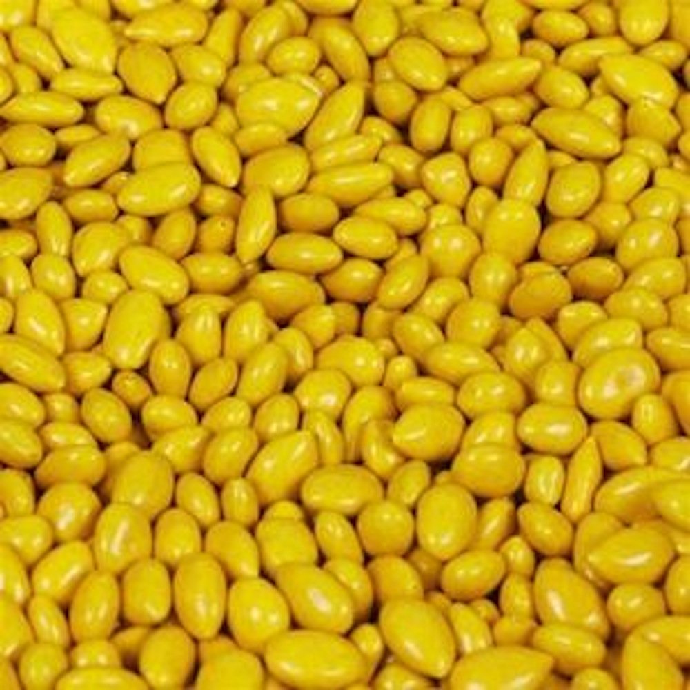 Yellow Sunbursts Chocolate Covered Sunflower Seeds 5LB Bag Snack Sunflower Seeds
