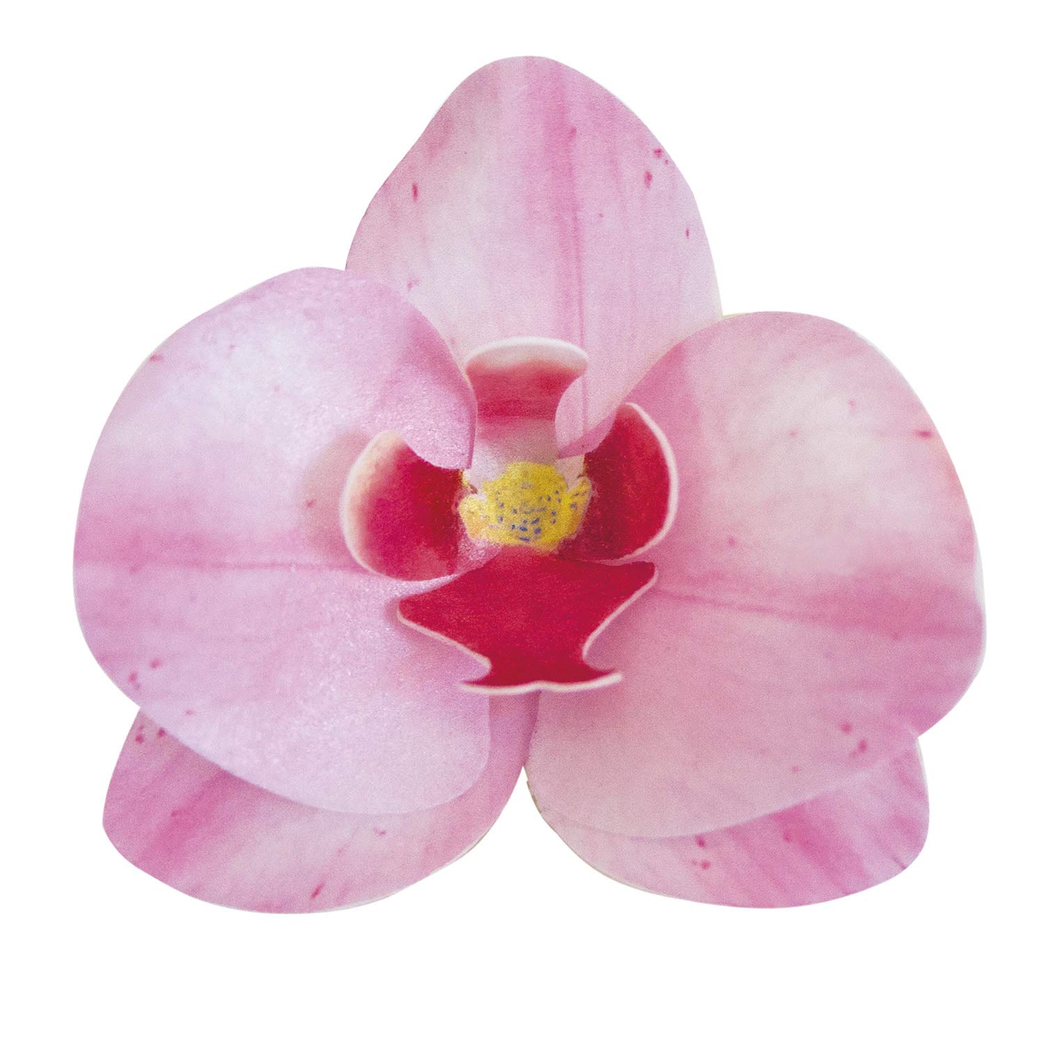 dekora- Edible flowers for cake decorations, 8,5 x 7,5 cm, 10 wafer paper pink Orchids, Cake Topper for Wedding, Birthday, Gender Reveal, Baby Shower and Cupcakes