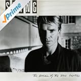 The Dream Of The Blue Turtles