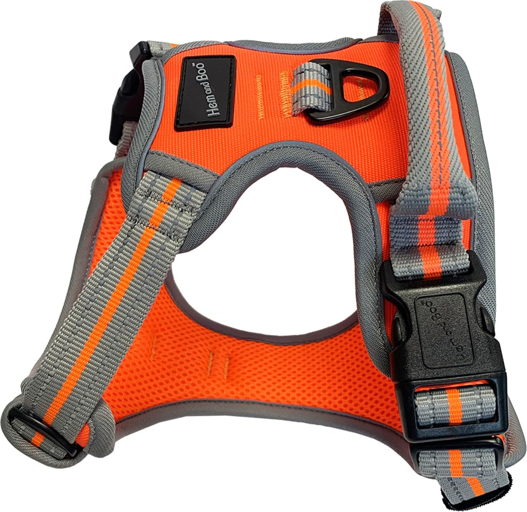 Dog & Co Sports Harness, Padded and Reflective, Orange Extra Large