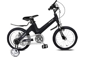 Nice C Training Wheel Bike, Kids Bike Boys Girls, BMX Mountain with Dual Disc Brake 12-14-16-18 inch