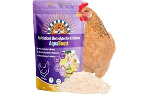 Buff Clucks AquaBoost Probiotic + Electrolyte Powder for Chickens – Natural Hydration & Gut Support Supplemnet for Daily Wellness & Egg Production - Safe for All Flocks & Ages - USA (8 oz)