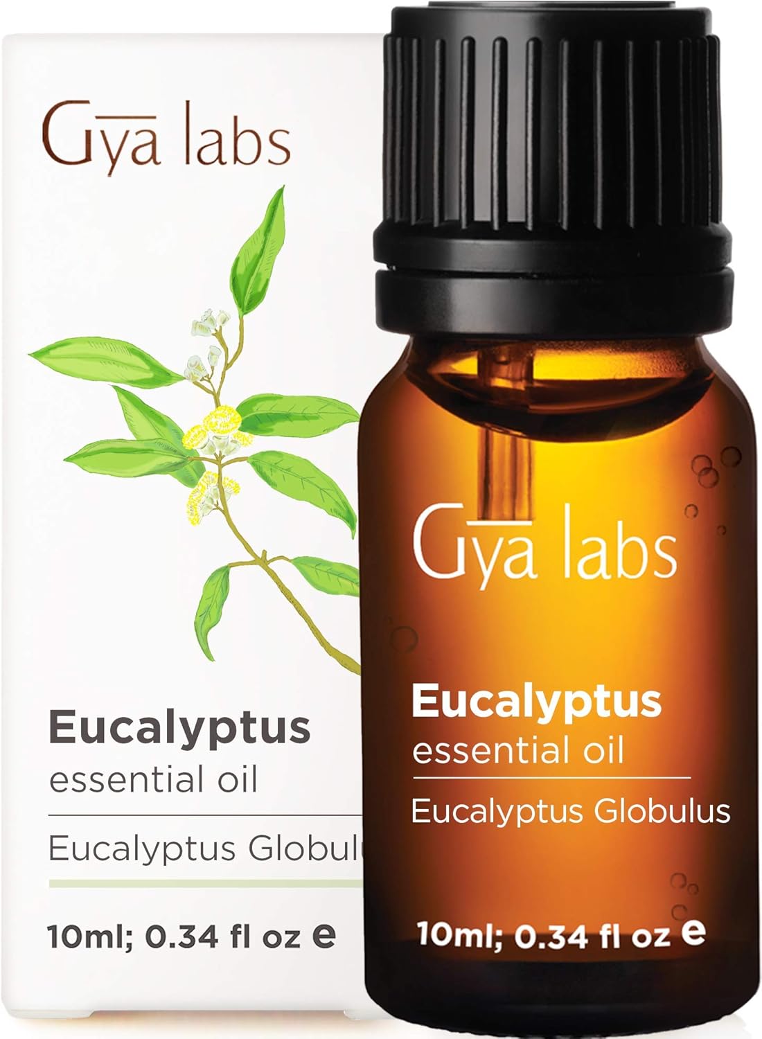 Gya Labs Eucalyptus Essential Oil for Diffuser, Natural, Fresh, Cooling Scent