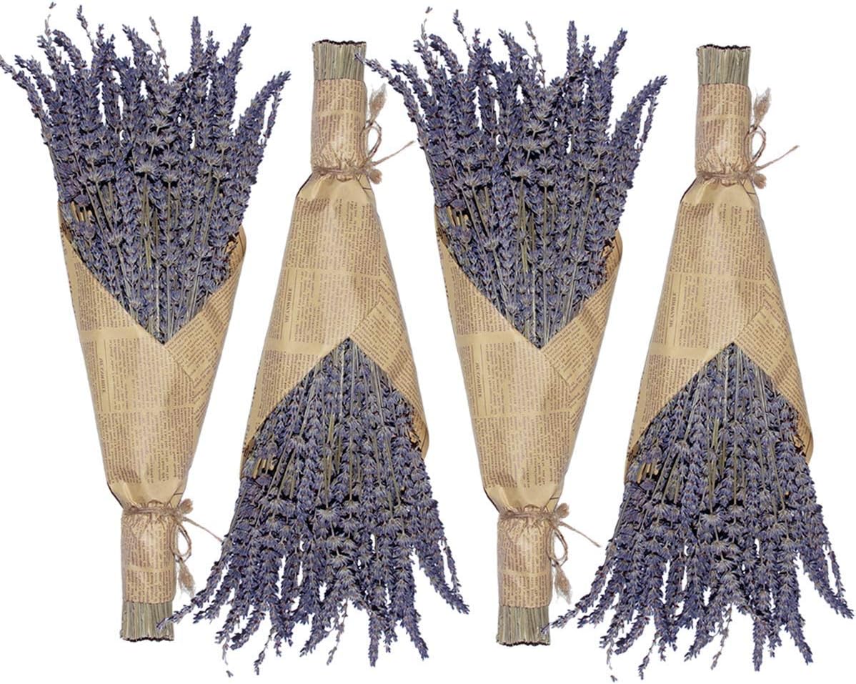 Dried & Preserved Flora - Cedar Space Lavender Dried Flowers 4 Bunches Dried Lavender Ideal Home Fragrance Products for Home Decorations, Wedding, Party, Photography & Flower Arrangements, Total Length 16 Inches