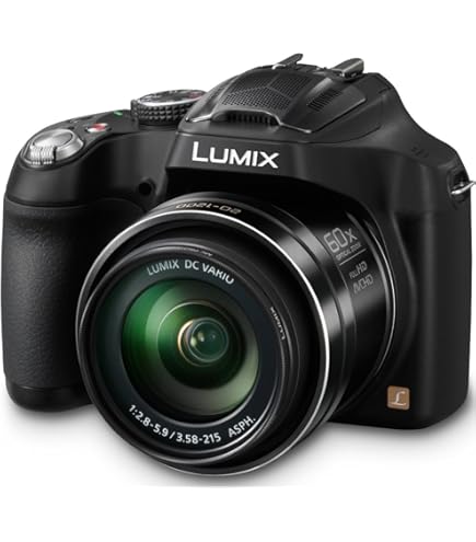 Amazon.com : Panasonic Lumix DMC-FZ100 14.1 MP Digital Camera with