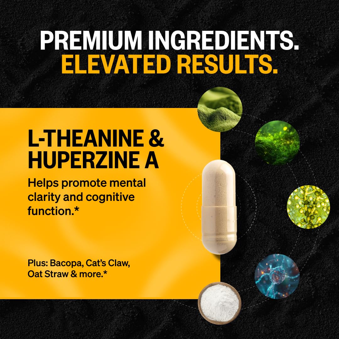 ONNIT Alpha Brain Nootropic Brain Supplement for Men & Women, IGEN™ Non-GMO Tested | Memory, Mental Clarity & Cognitive Improvement | Focus Capsules with L-Theanine, Vitamin B6 (30 Count)